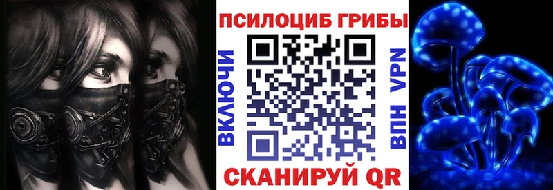 Галлюциногенные грибы Psilocybe  Шумерля 