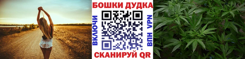 Конопля SATIVA & INDICA  наркота  Шумерля 